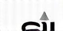 Garmin Logo